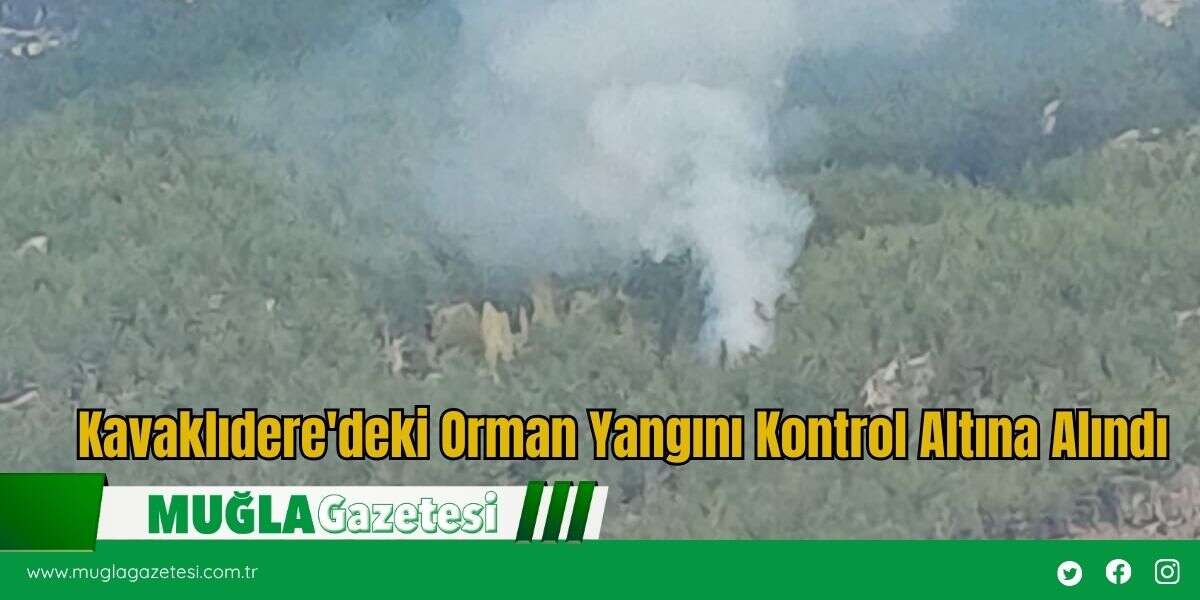 Kavaklıdere'deki Orman Yangını Kontrol Altına Alındı