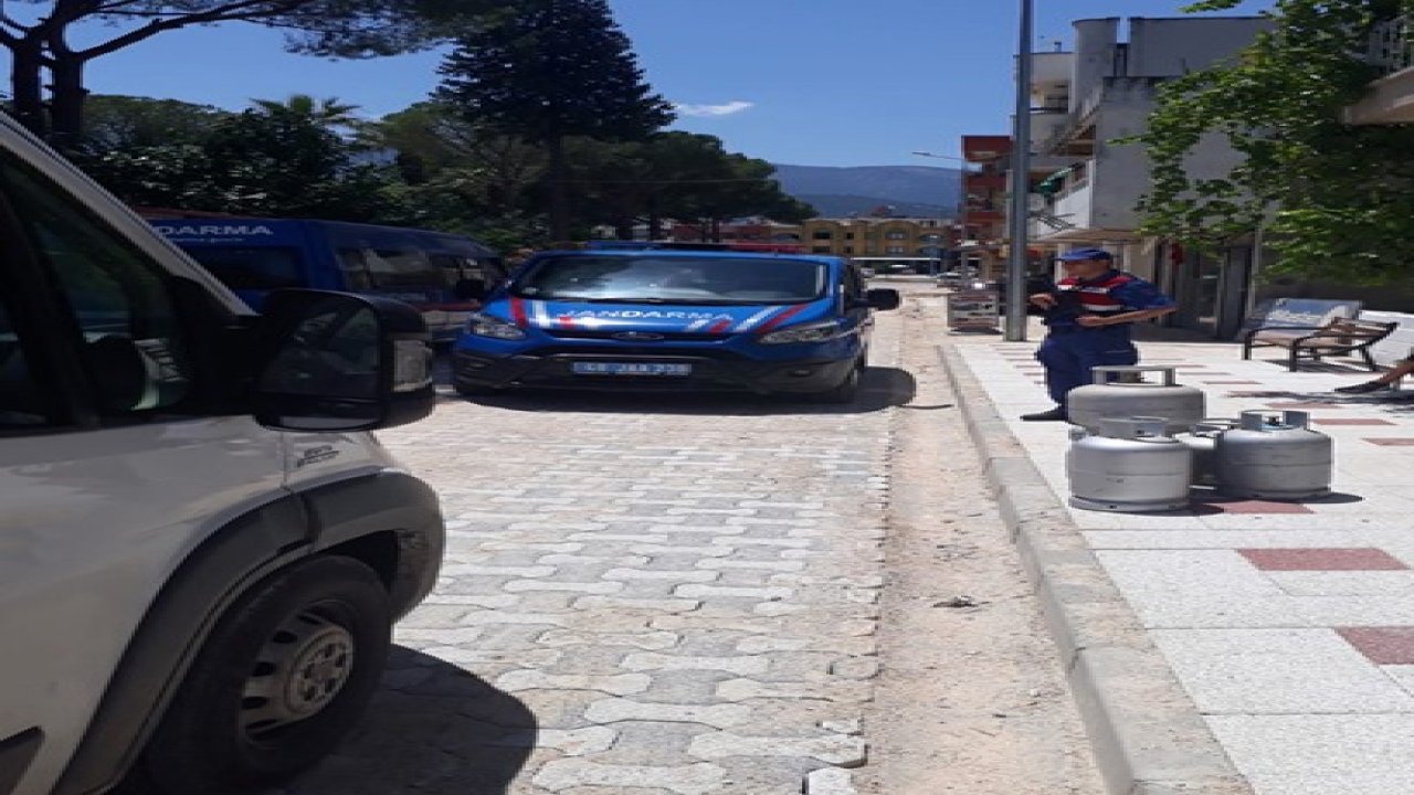 Kargo kamyoneti yayayı ezdi: 1 ölü