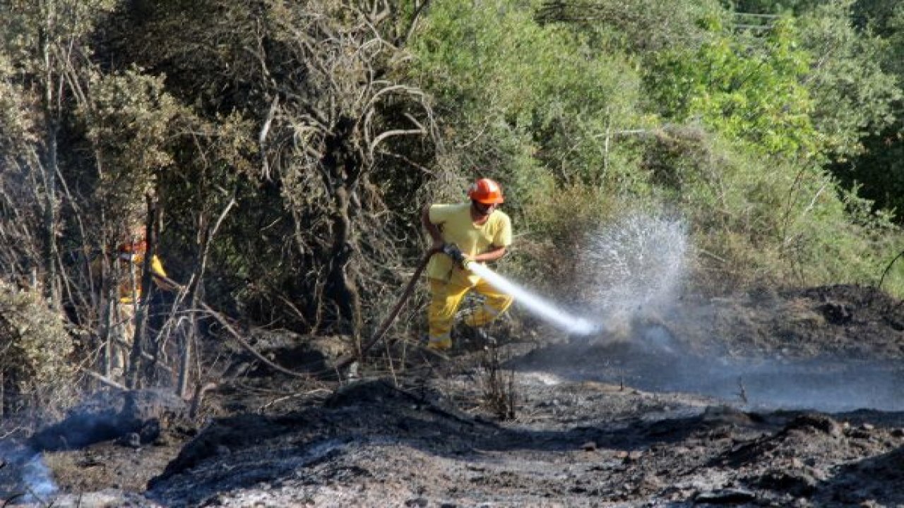 Ula’da 2 hektar alan yandı