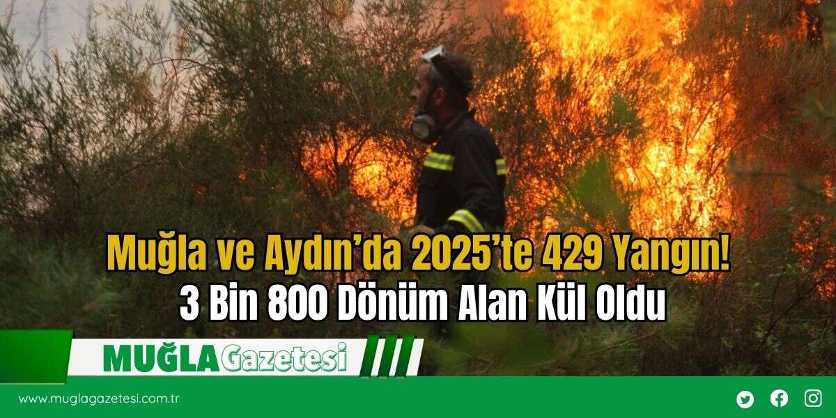Muğla ve Aydın’da 2025’te 429 Yangın! 3 Bin 800 Dönüm Alan Kül Oldu