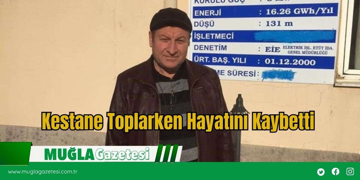 Kestane Toplarken Hayatını Kaybetti
