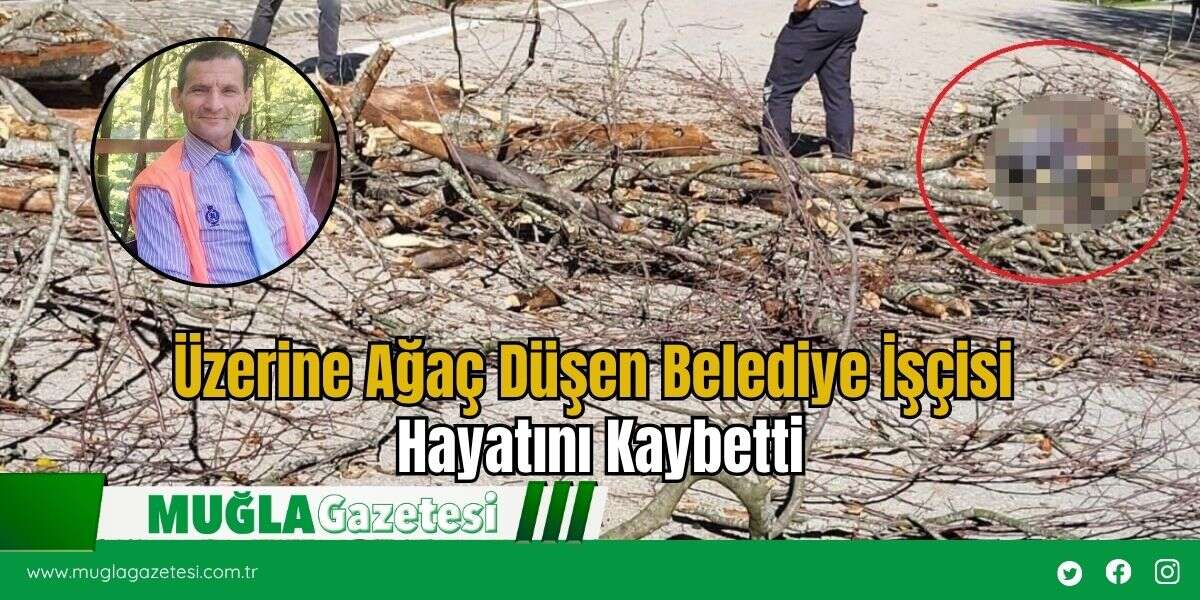 Üzerine Ağaç Düşen Belediye İşçisi Hayatını Kaybetti