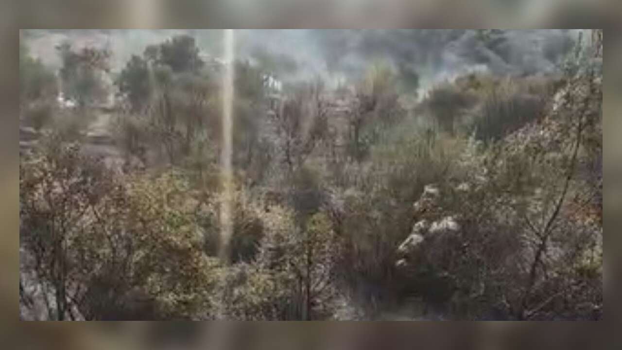 Milas'ta Zeytinlik Alanda Yangın Çıktı