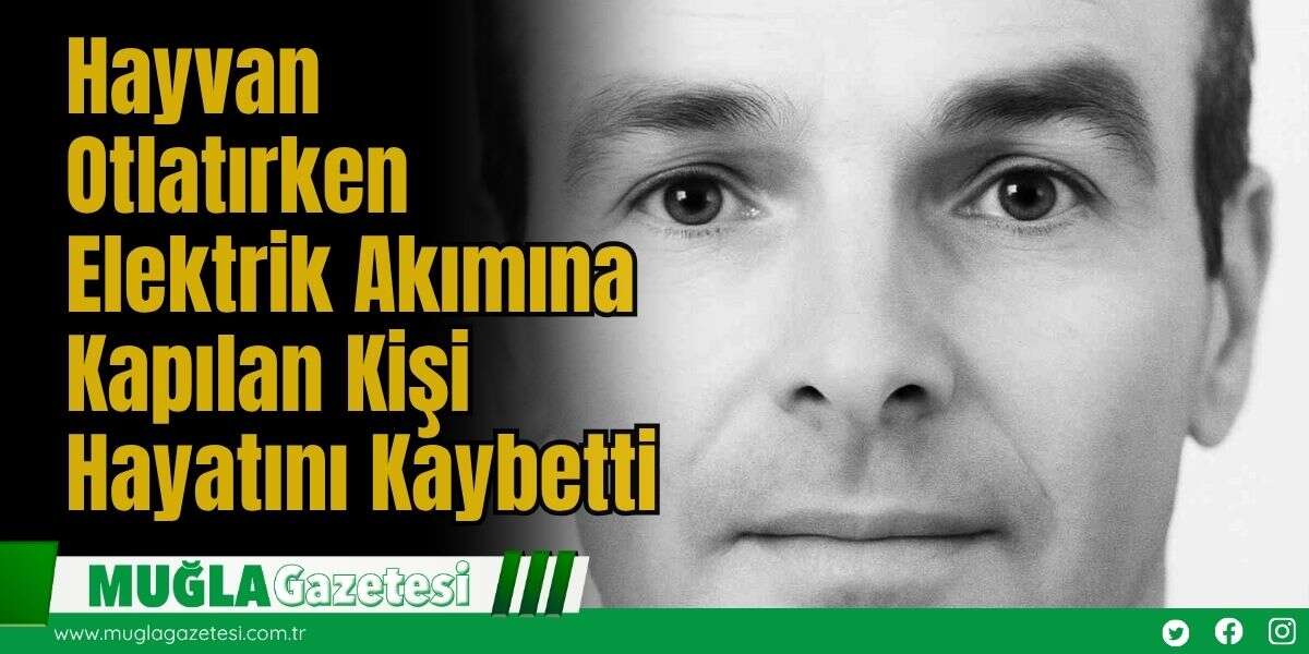 Hayvan Otlatırken Elektrik Akımına Kapılan Kişi Hayatını Kaybetti