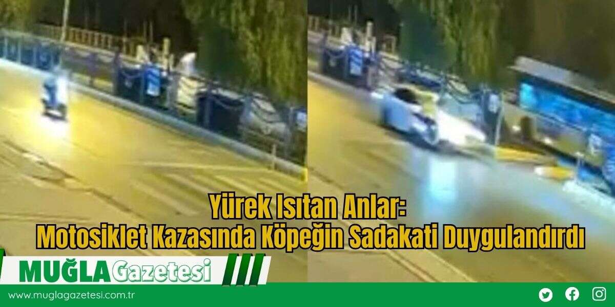 Yürek Isıtan Anlar: Motosiklet Kazasında Köpeğin Sadakati Duygulandırdı