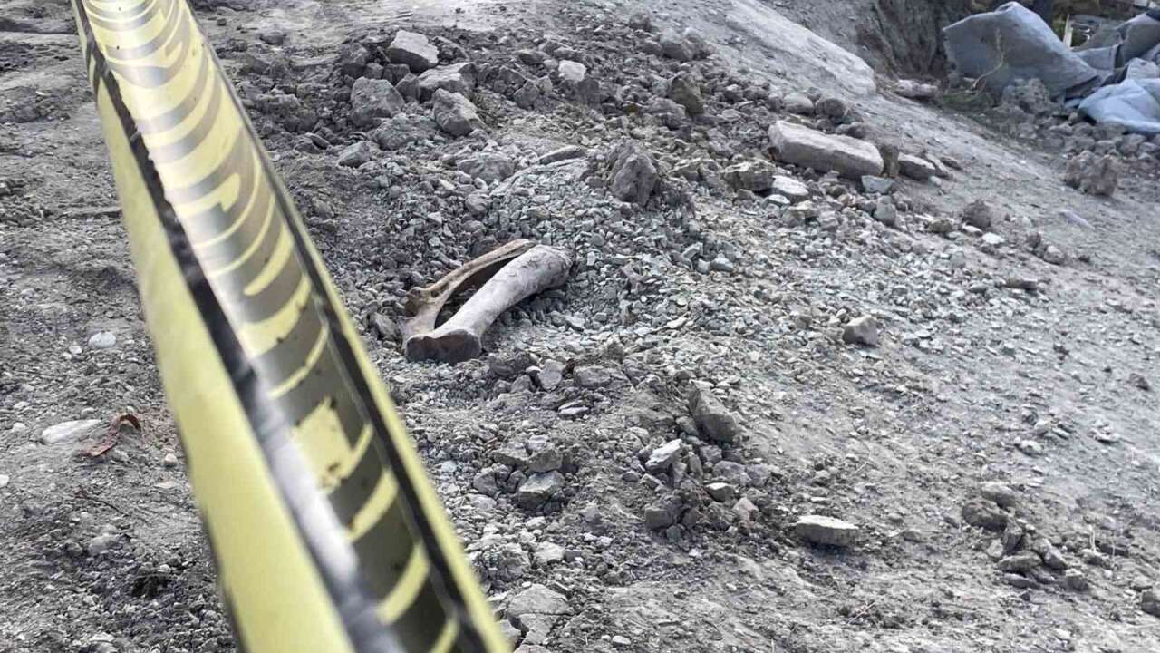 Belediyenin Kazı Çalışmasında İnsan Kemikleri Bulundu