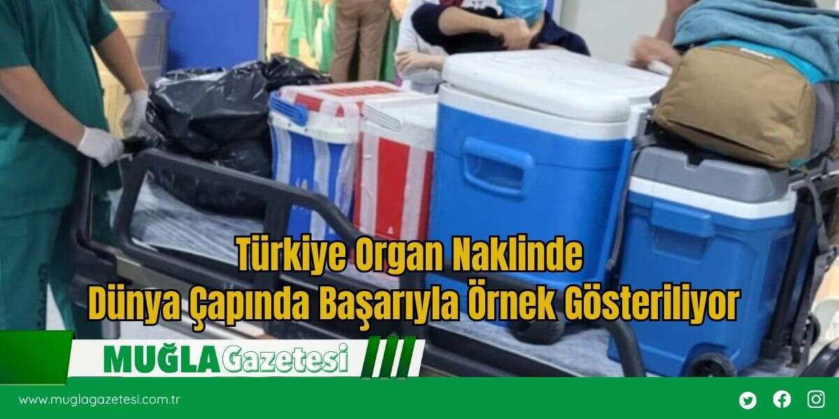 Türkiye Organ Naklinde Dünya Çapında Başarıyla Örnek Gösteriliyor