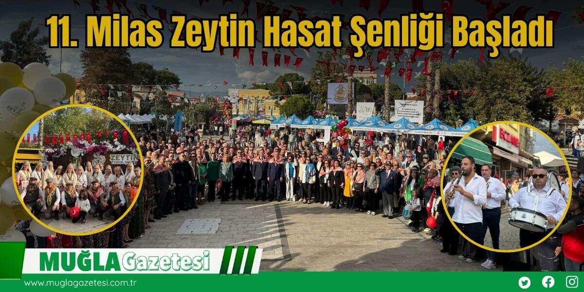 11. Milas Zeytin Hasat Şenliği Başladı