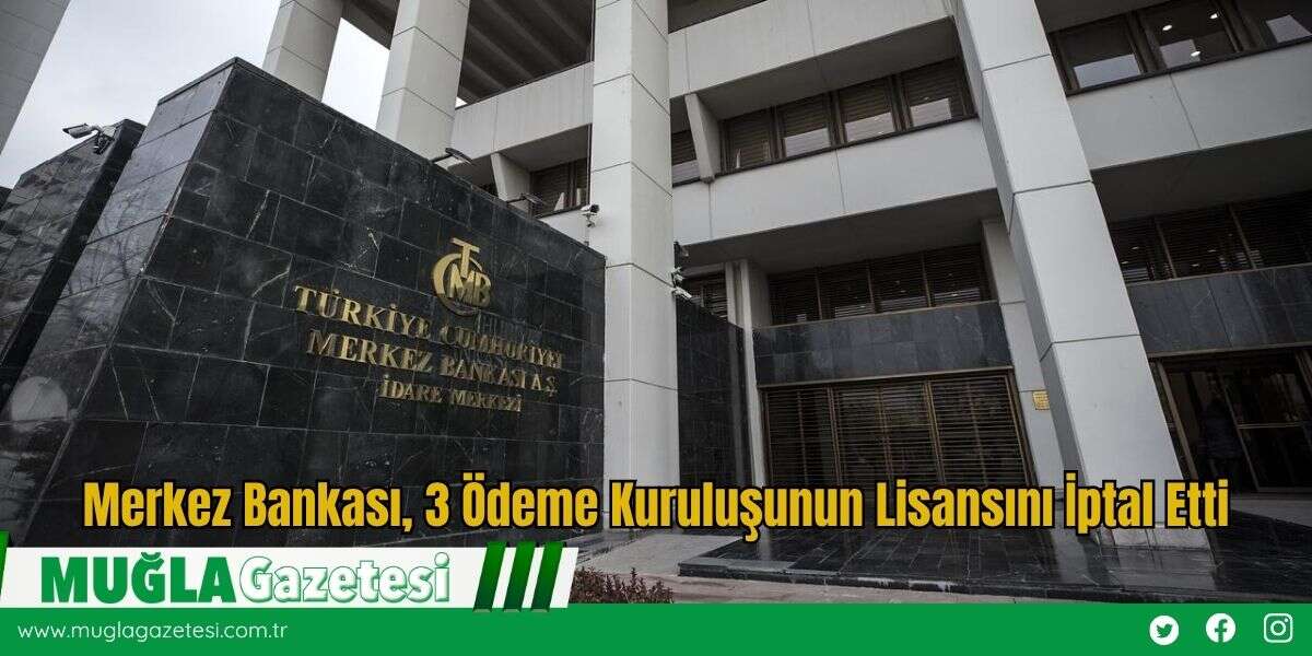 Merkez Bankası, 3 Ödeme Kuruluşunun Lisansını İptal Etti