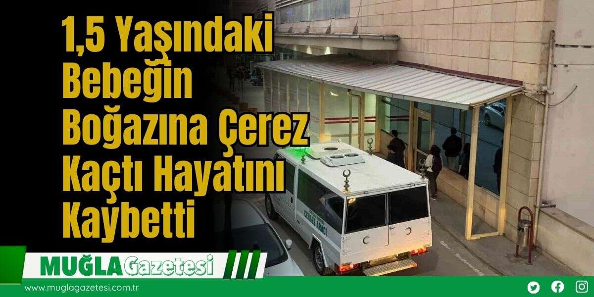 1,5 Yaşındaki Bebeğin Boğazına Çerez Kaçtı Hayatını Kaybetti