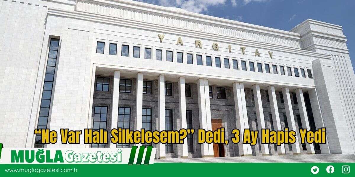 “Ne Var Halı Silkelesem?” Dedi, 3 Ay Hapis Yedi