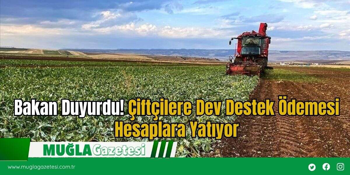 Bakan Duyurdu! Çiftçilere Dev Destek Ödemesi Hesaplara Yatıyor