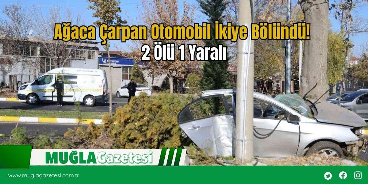 Ağaca Çarpan Otomobil İkiye Bölündü! 2 Ölü 1 Yaralı