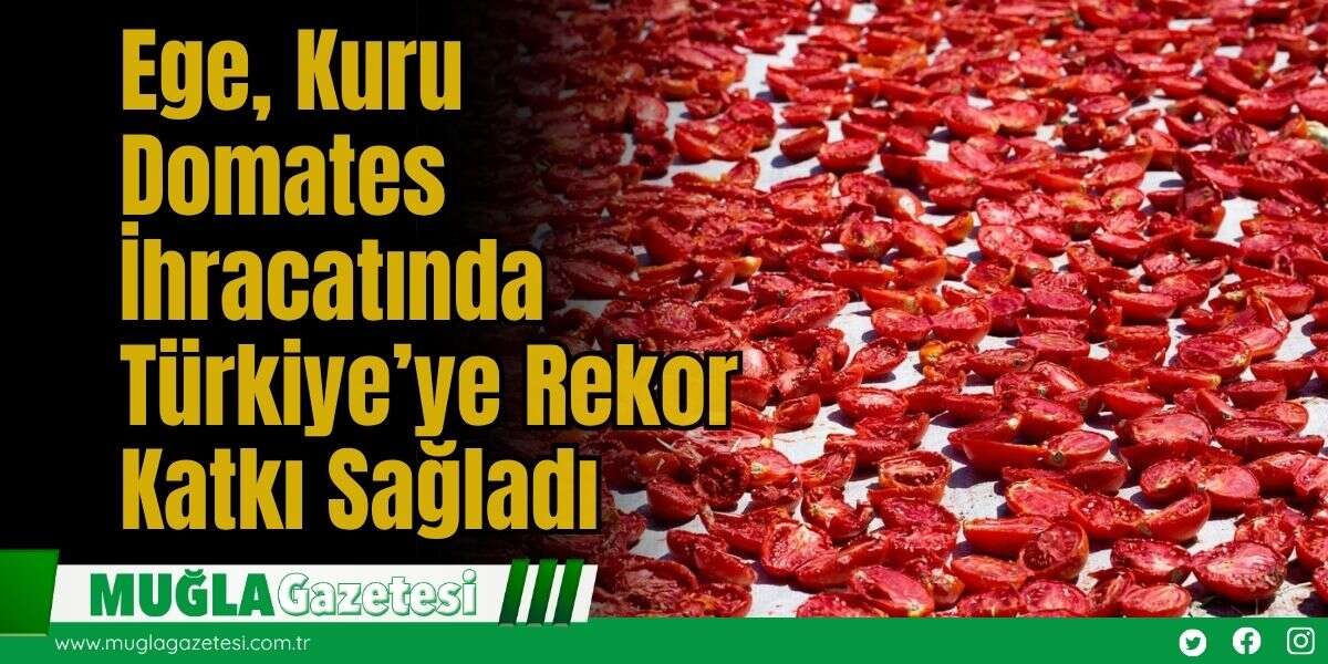 Ege, Kuru Domates İhracatında Türkiye’ye Rekor Katkı Sağladı