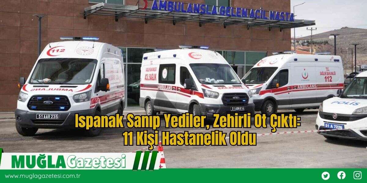 Ispanak Sanıp Yediler, Zehirli Ot Çıktı: 11 Kişi Hastanelik Oldu