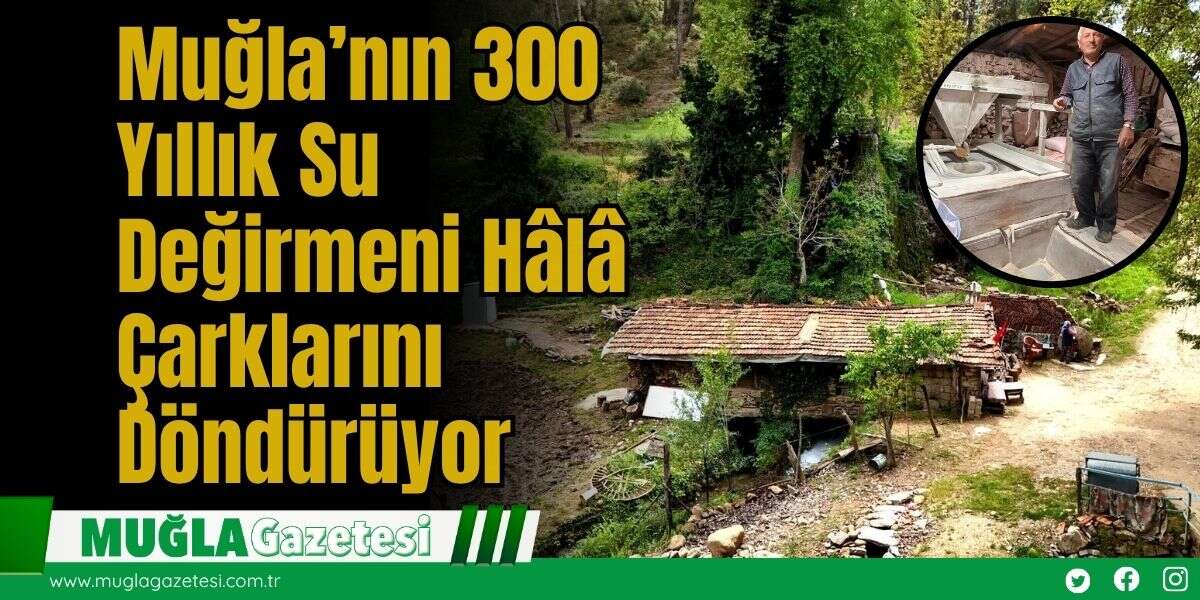 Muğla’nın 300 Yıllık Su Değirmeni Hâlâ Çarklarını Döndürüyor