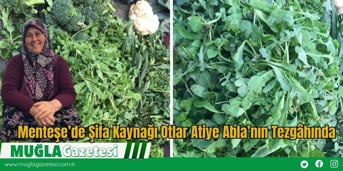 Menteşe’de Şifa Kaynağı Otlar Atiye Abla’nın Tezgâhında