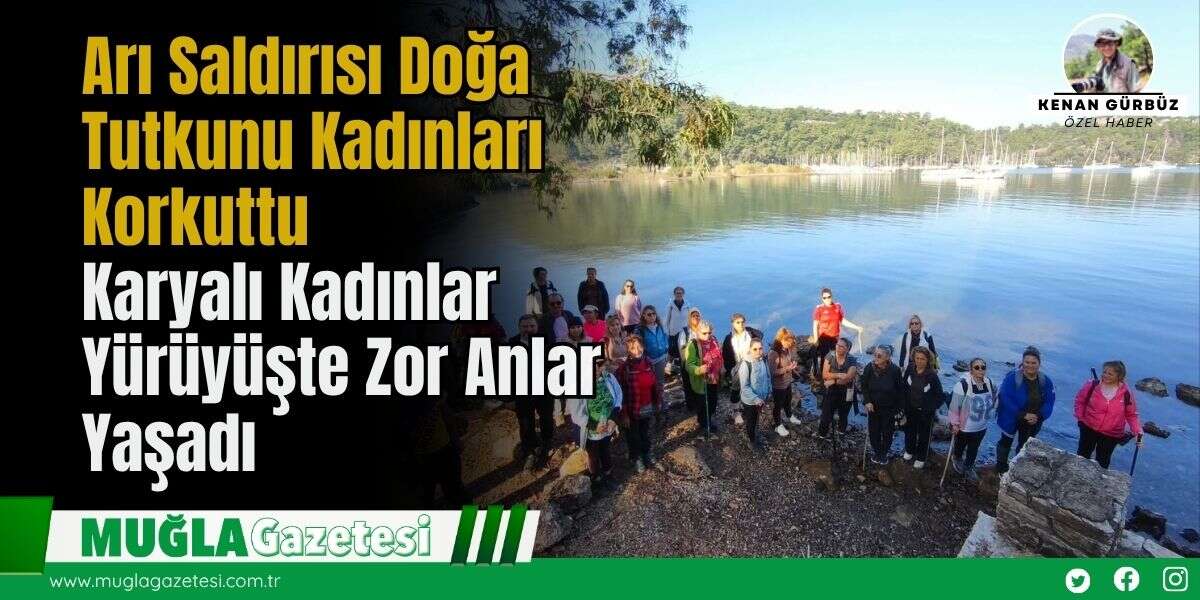 Arı Saldırısı Doğa Tutkunu Kadınları Korkuttu: Karyalı Kadınlar Yürüyüşte Zor Anlar Yaşadı