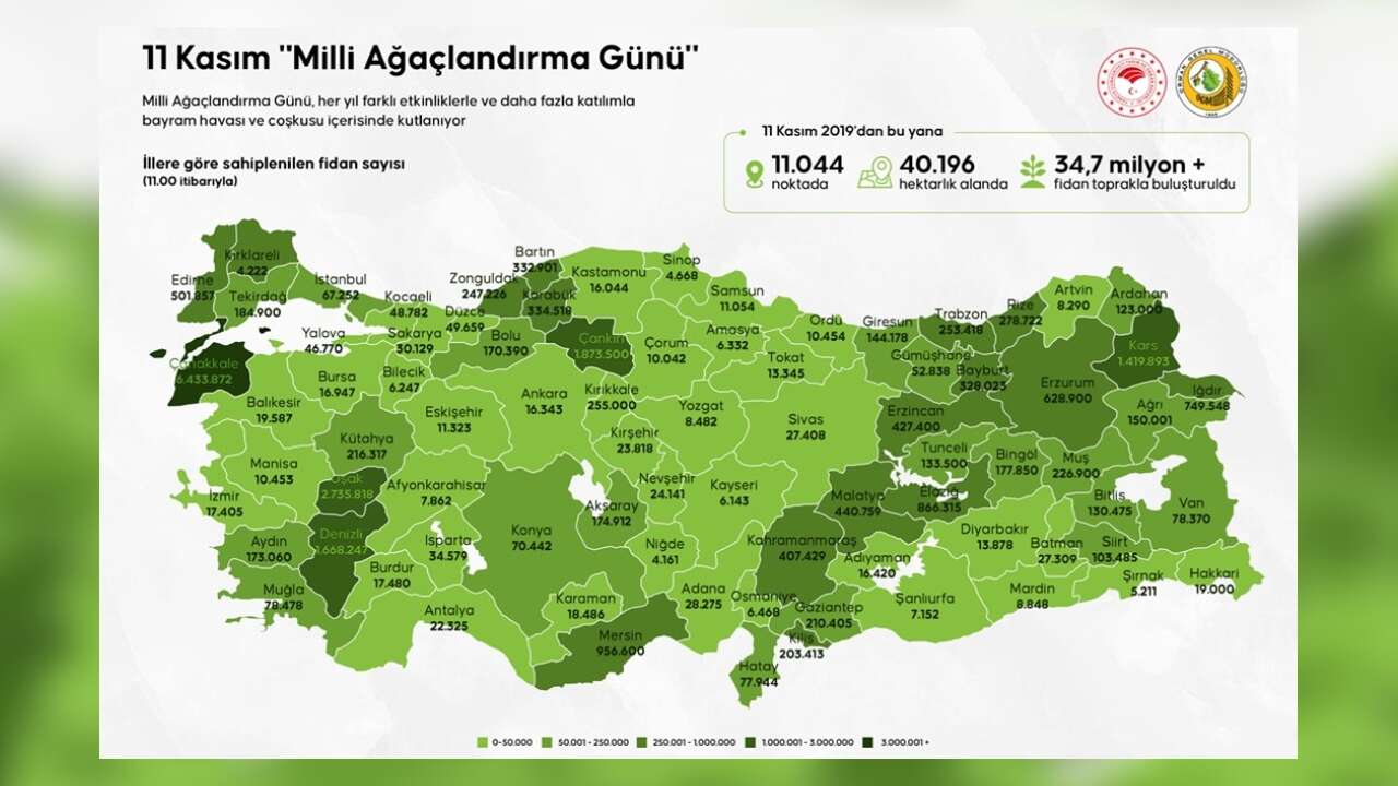 Muğla’da 78 Bin Fidan Sahiplendi, Toprakla Buluştu