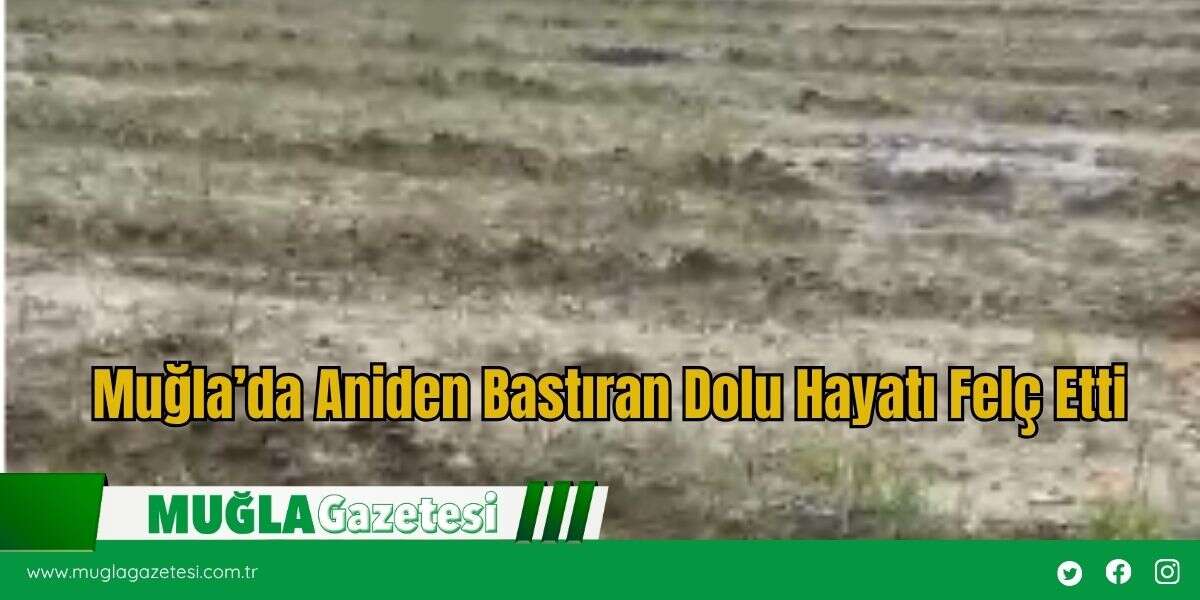 Muğla’da Aniden Bastıran Dolu Hayatı Felç Etti