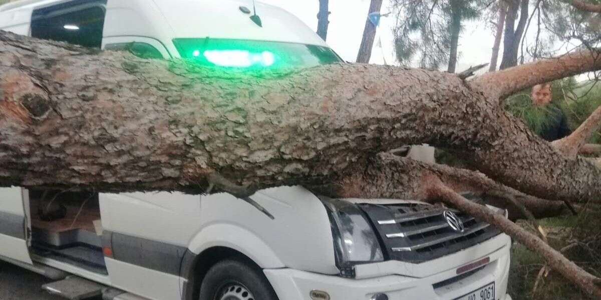 Muğla’da Seyir Halindeki Minibüsün Üstüne Ağaç Devrildi
