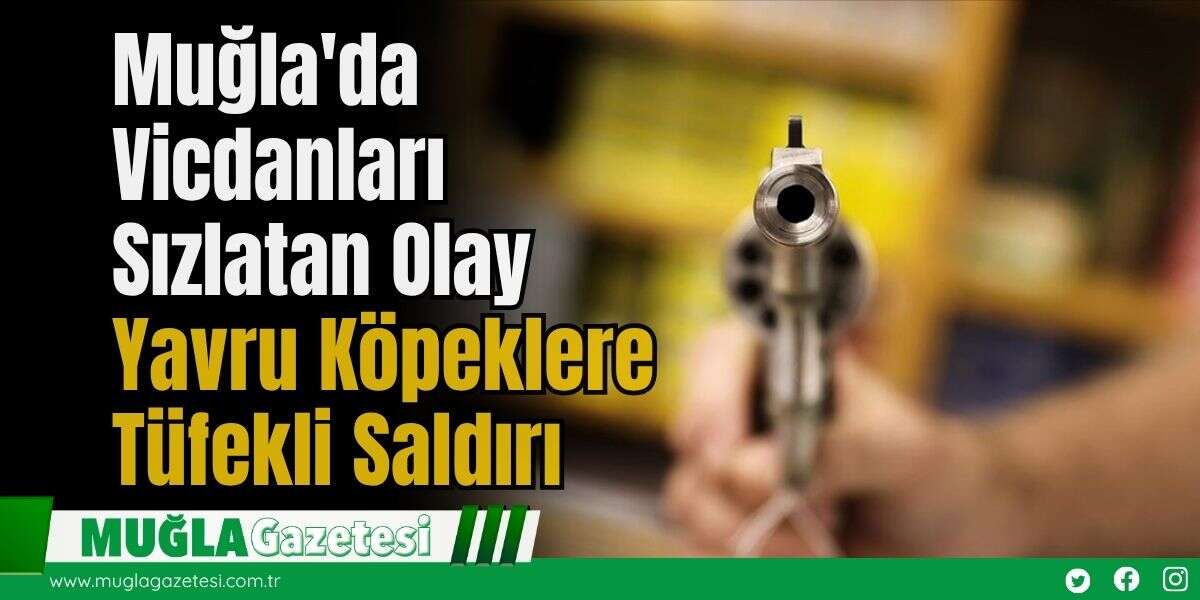 Muğla'da Vicdanları Sızlatan Olay: Yavru Köpeklere Tüfekli Saldırı