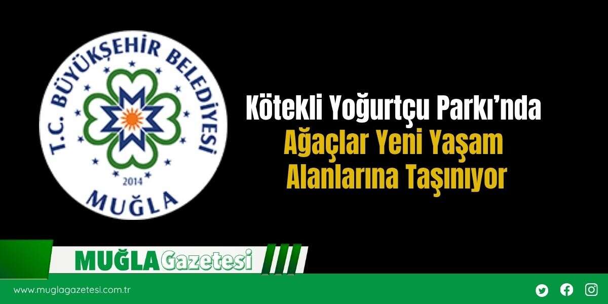 Kötekli Yoğurtçu Parkı’nda Ağaçlar Yeni Yaşam Alanlarına Taşınıyor