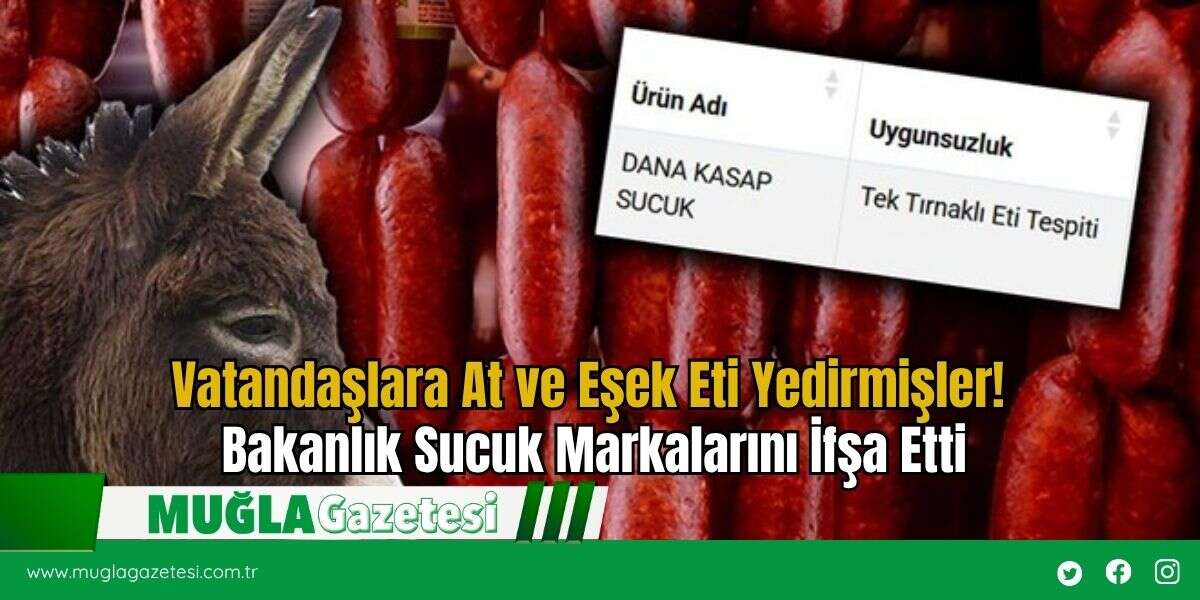 Vatandaşlara At ve Eşek Eti Yedirmişler! Bakanlık Sucuk Markalarını İfşa Etti