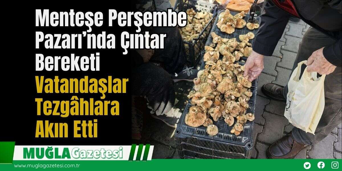 Perşembe Pazarı’nda Çıntar Bereketi: Vatandaşlar Tezgâhlara Akın Etti