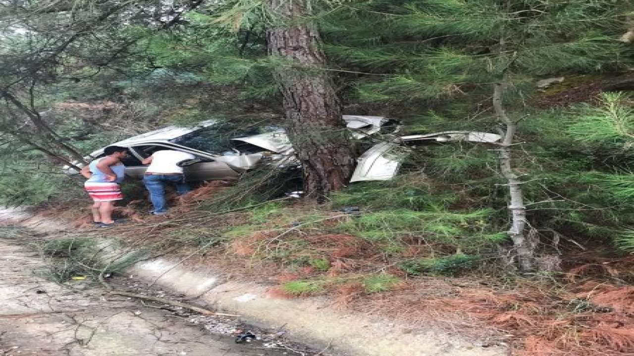 Alkollü sürücü ağaca çarptı