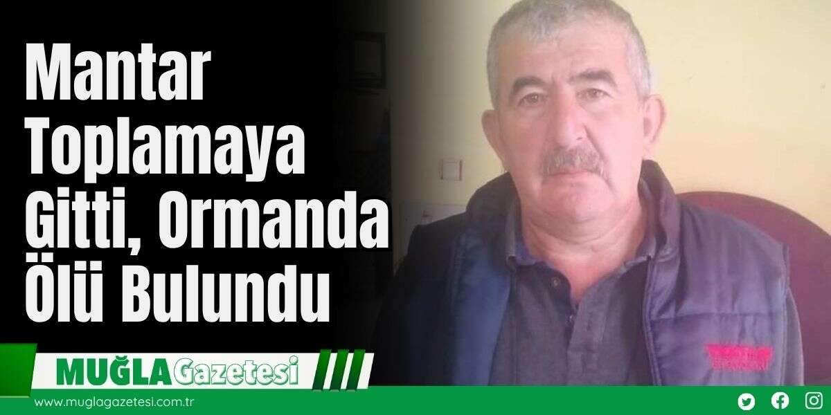Mantar Toplamaya Gitti, Ormanda Ölü Bulundu