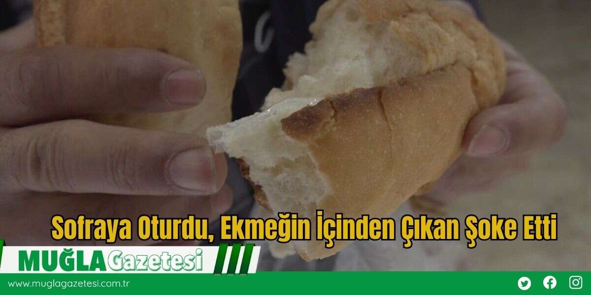 Sofraya Oturdu, Ekmeğin İçinden Çıkan Şoke Etti