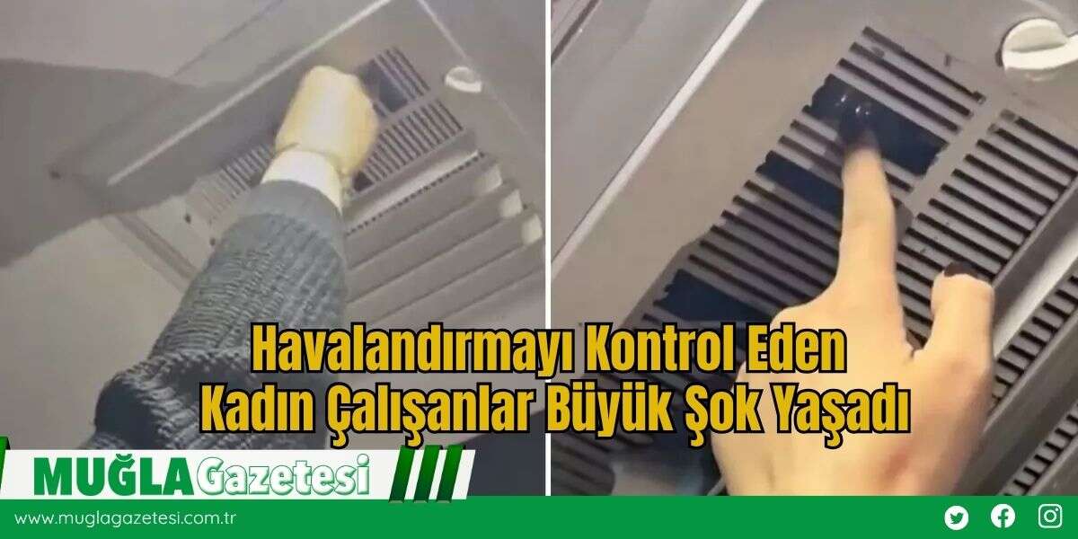 Havalandırmayı Kontrol Eden Kadın Çalışanlar Büyük Şok Yaşadı