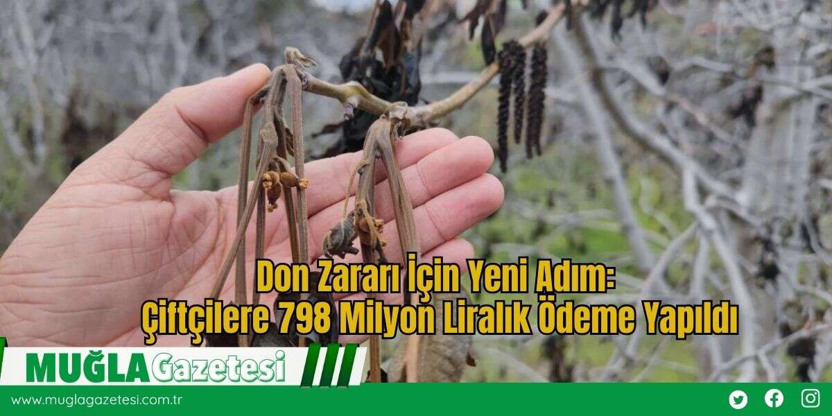 Don Zararı İçin Yeni Adım: Çiftçilere 798 Milyon Liralık Ödeme Yapıldı