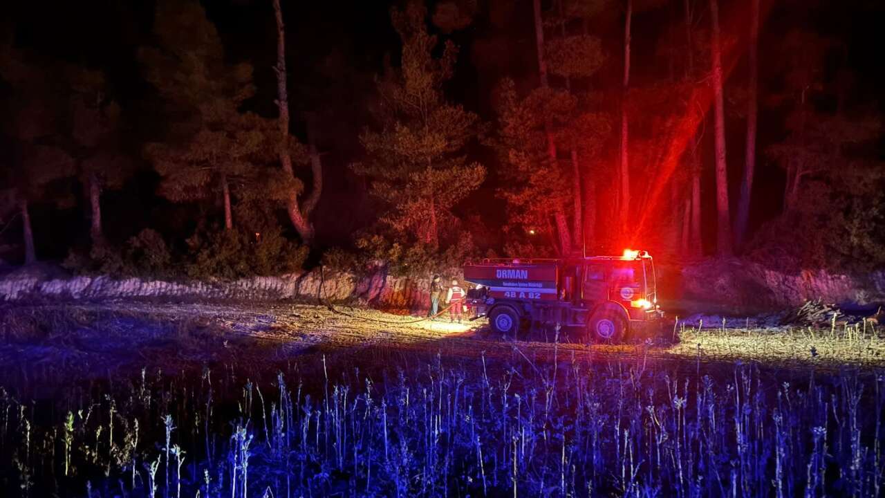 Kavaklıdere’de Çıkan Orman Yangını Hızlı Müdahaleyle Söndürüldü