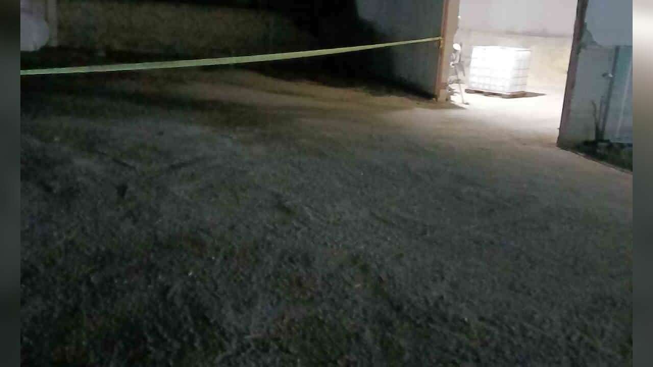 İş Kazası: İşçi Yem Karma Makinesinde Hayatını Kaybetti