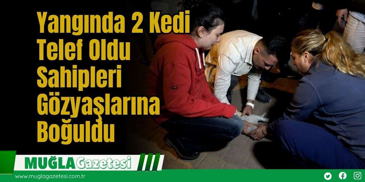 Yangında 2 Kedi Telef Oldu, Sahipleri Gözyaşlarına Boğuldu