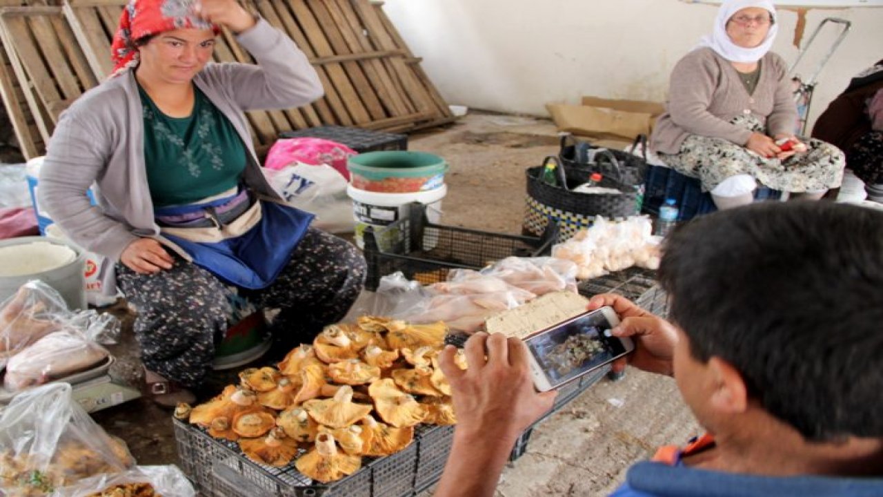 Bu mevsimde çıkınca bakan bir daha baktı