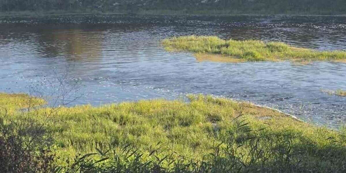 5 Yaşındaki Çocuk Dere Kenarında Top Oynarken Hayatını Kaybetti