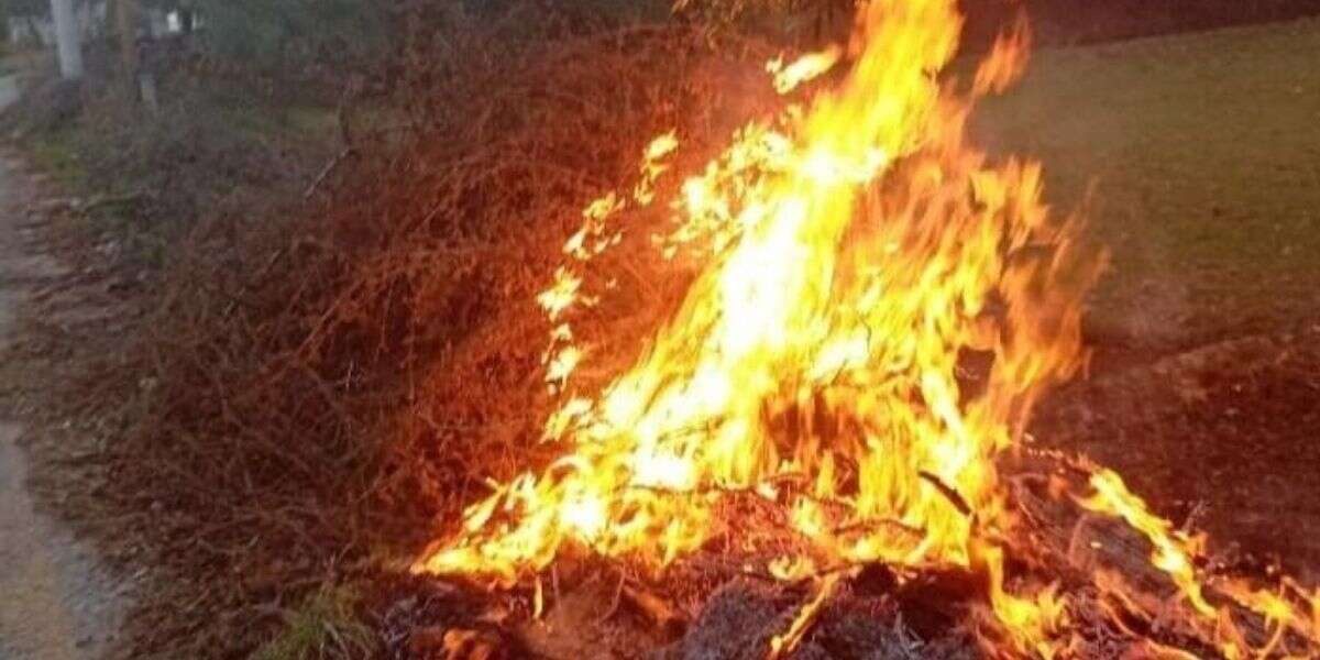 Milas’ta Orman Yangını! Büyümeden Söndürüldü