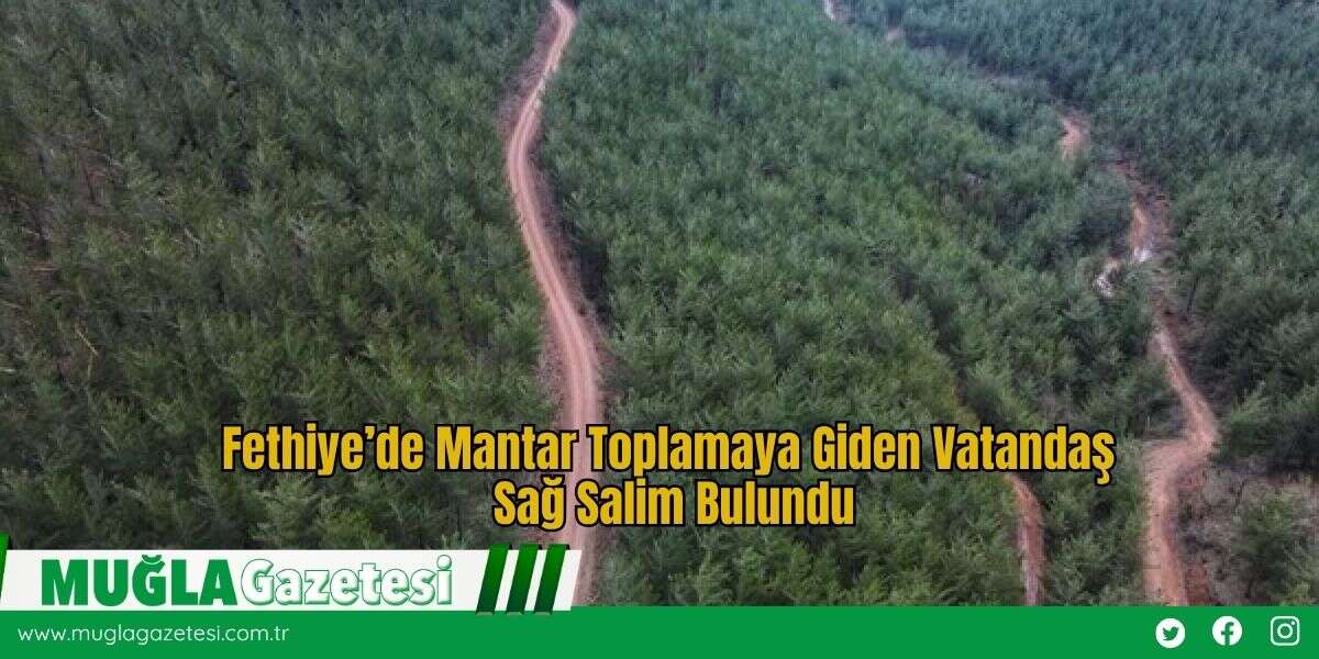 Fethiye’de Mantar Toplamaya Giden Vatandaş Sağ Salim Bulundu