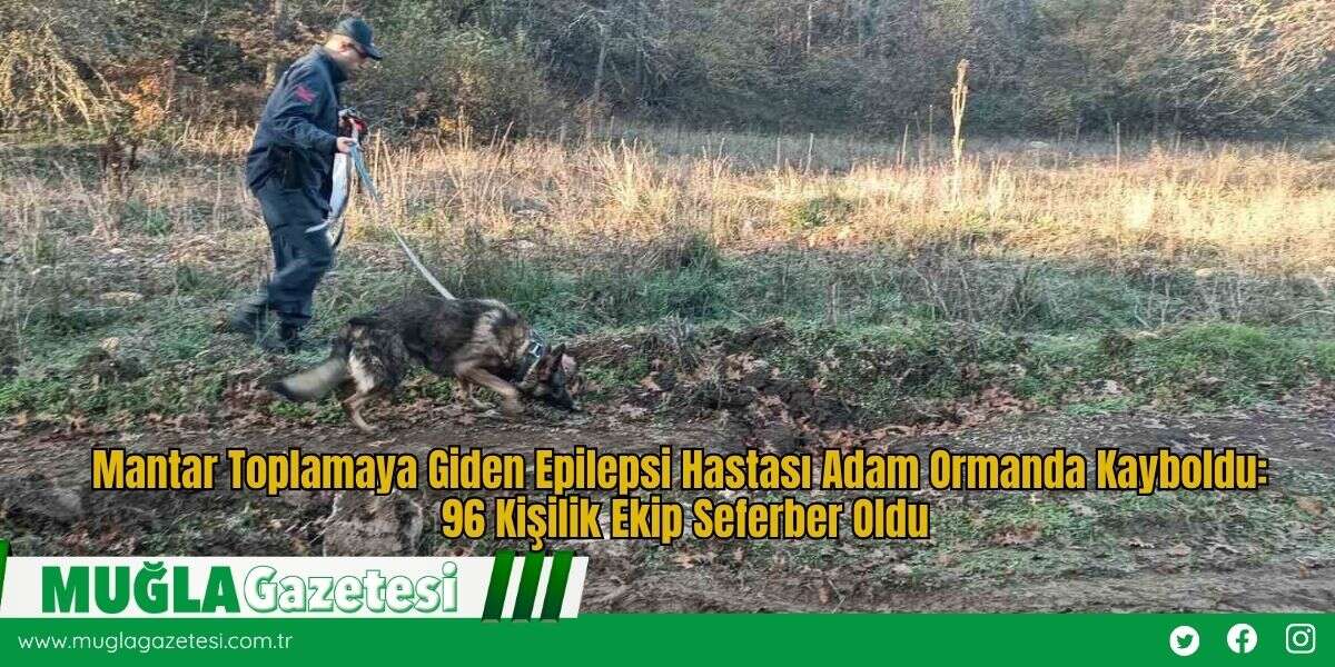 Mantar Toplamaya Giden Epilepsi Hastası Adam Ormanda Kayboldu: 96 Kişilik Ekip Seferber Oldu