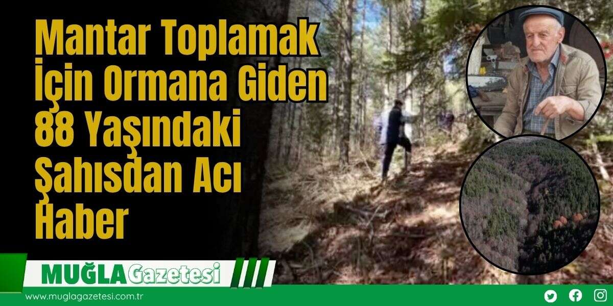 Mantar Toplamak İçin Ormana Giden 88 Yaşındaki Şahısdan Acı Haber