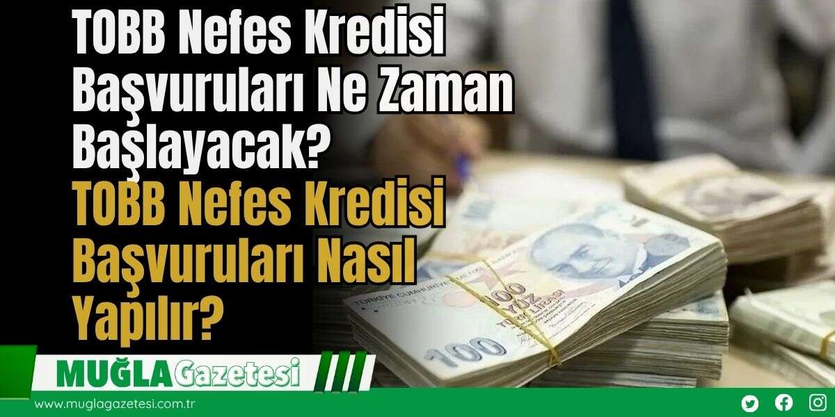 TOBB Nefes Kredisi Başvuruları Ne Zaman Başlayacak? TOBB Nefes Kredisi Başvuruları Nasıl Yapılır?