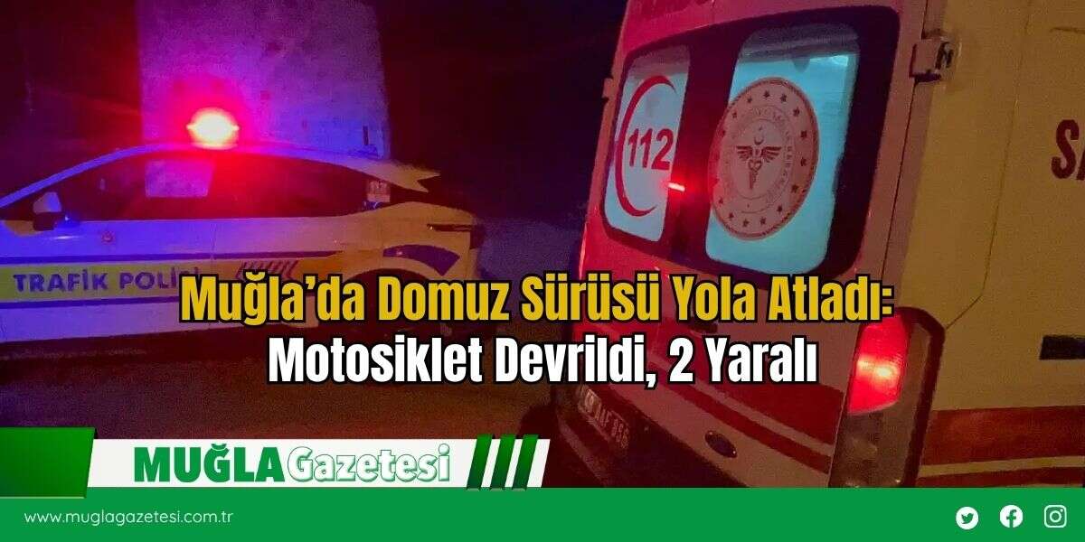 Muğla’da Domuz Sürüsü Yola Atladı: Motosiklet Devrildi, 2 Yaralı