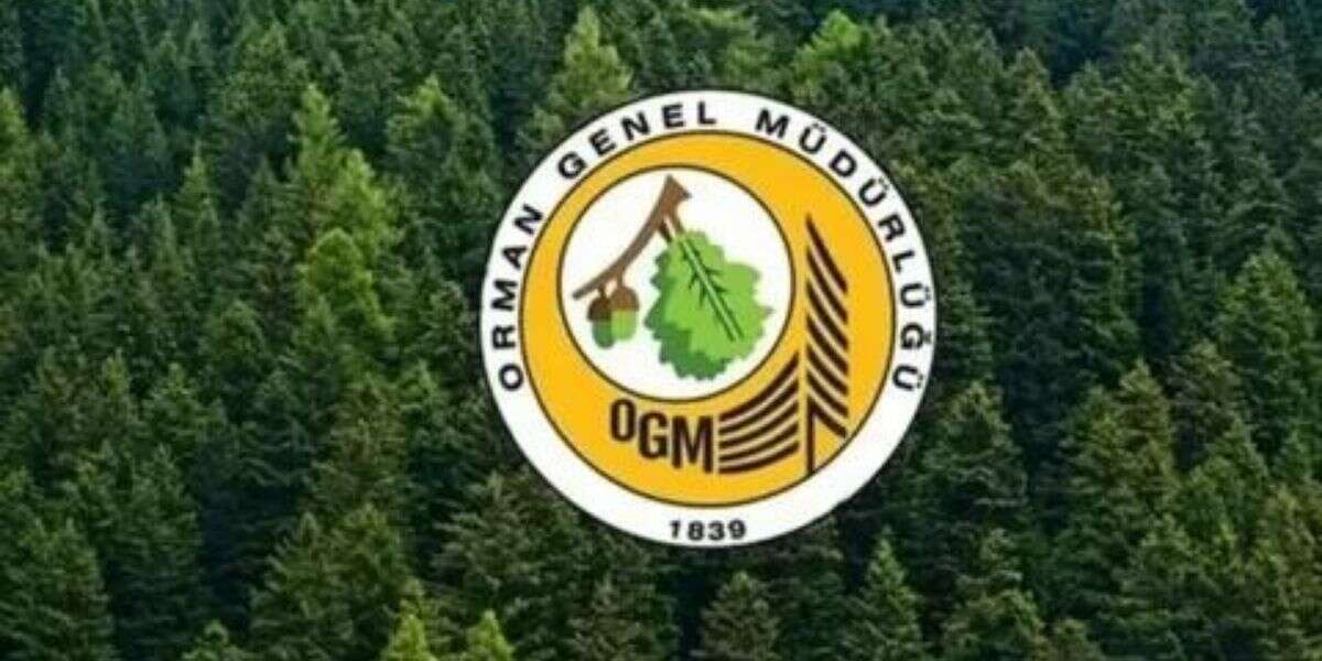 Orman Genel Müdürlüğü 496 Sözleşmeli Personel Alacak