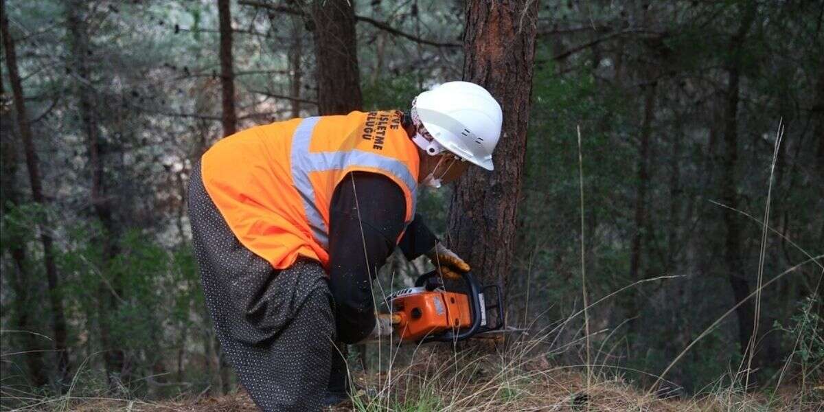 Kestiği Ağacın Altında Kalan Vatandaş Hayatını Kaybetti