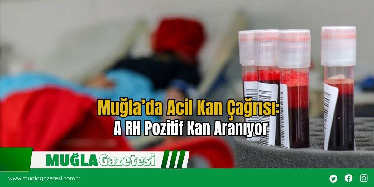 Muğla’da Acil Kan Çağrısı: A RH Pozitif Kan Aranıyor