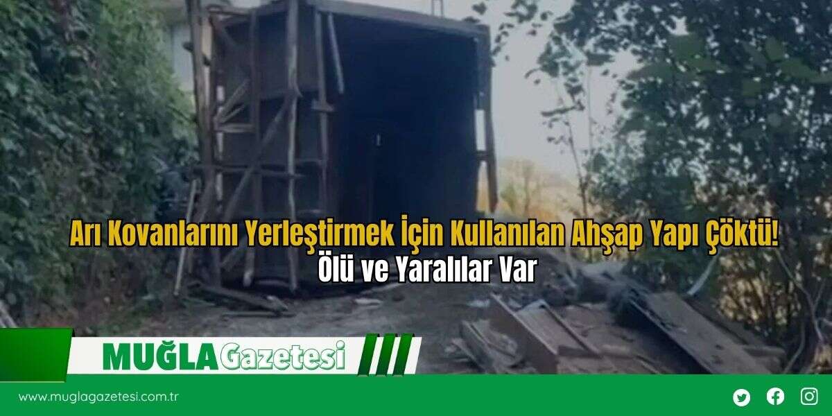 Arı Kovanlarını Yerleştirmek İçin Kullanılan Ahşap Yapı Çöktü! Ölü ve Yaralılar Var