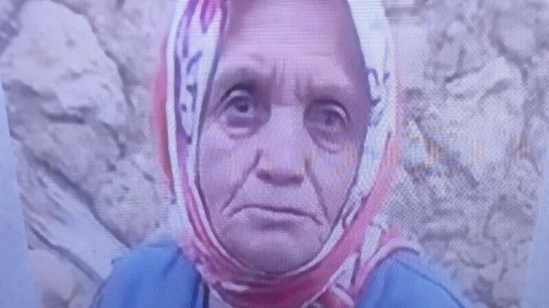 Mantar Toplamak İçin Gitti, Hayatını Kaybetti: Valilik Açıklama Yaptı